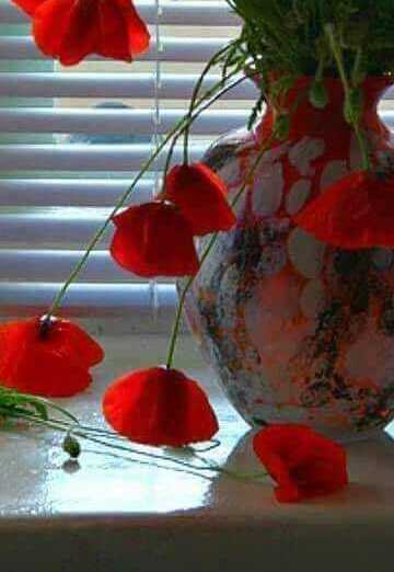 Davies Edholm (@daviii001) — my photo № 2