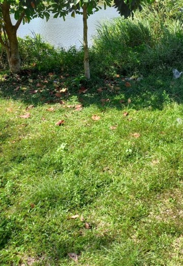 Olli99 (@olli255) — my photo № 1