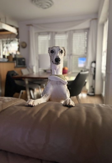 David (@david46817) — mein Foto #1