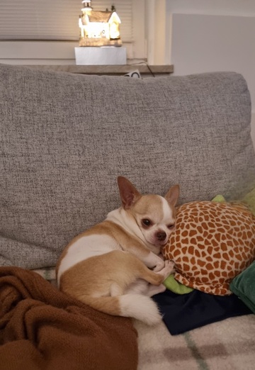 Mario (@mario3456) — my photo № 7