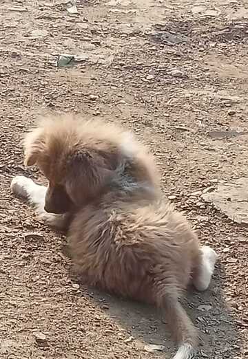 Tsathrichum (@tsathrichum) — my photo № 1