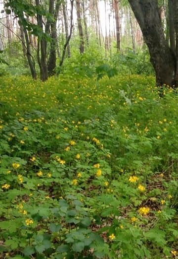 Davies Edholm (@daviii001) — my photo № 4