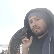 Andre 37 Las Palmas de Gran Canaria