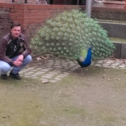 Aleksandr 48 Monchengladbach