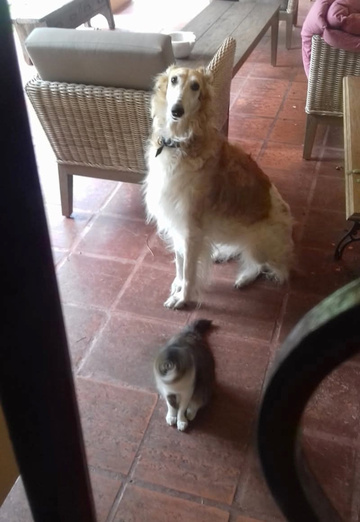 Juan (@juan2826) — my photo № 5