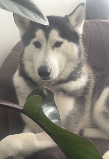 Jamiem (@jamiem) — my photo № 1