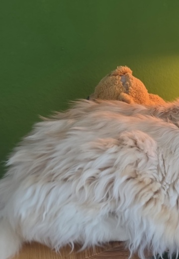 Sladdy1982 (@sladdy1982) — my photo № 1