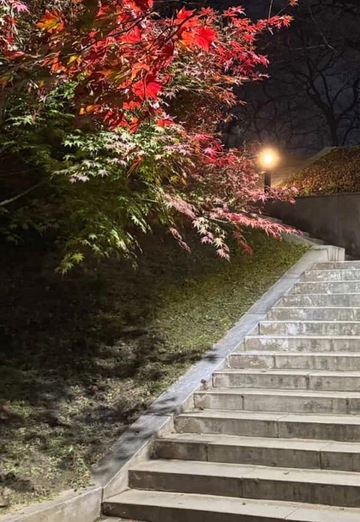 ed (@ed7866) — my photo № 1