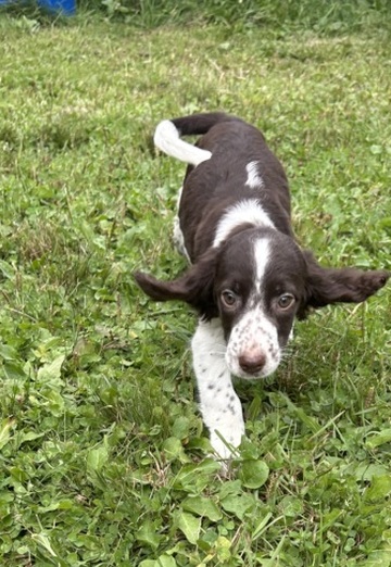 Kenny (@kenny896) — my photo № 1