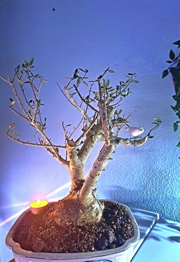 Cristian (@cristian1359) — my photo № 5