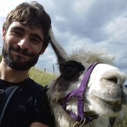 Valerio 37 Freiburg im Breisgau