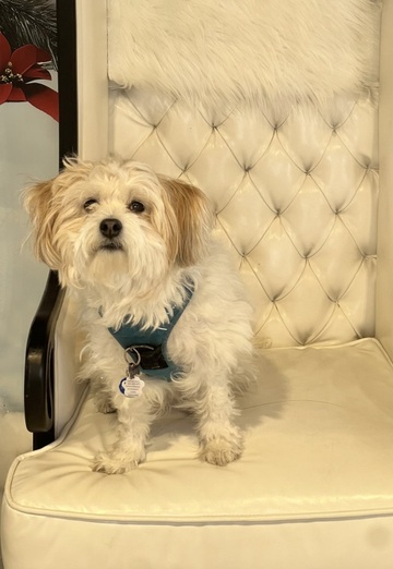 KT (@kt212) — my photo № 1