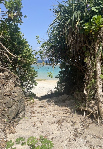 T-T (@tt1251) — my photo № 2