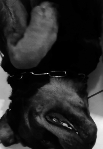 Robert (@robert17679) — my photo № 1